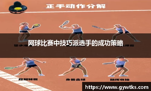 星空综合股份(中国)