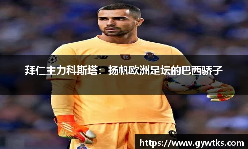 星空综合股份(中国)